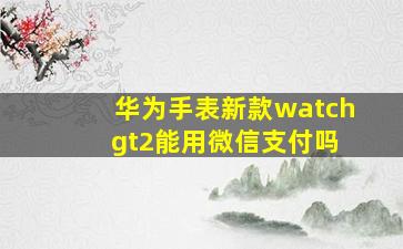 华为手表新款watch gt2能用微信支付吗